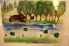 Конкурс детского рисунка Центра природопользования