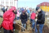 В НАО во всероссийский день посадки леса высажено более 400 саженцев березы